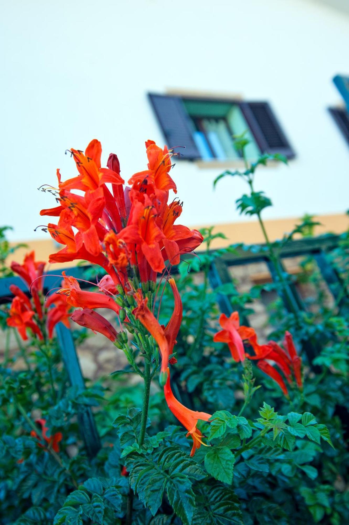 Casale La Zagara Aparthotel Sciacca Exterior foto
